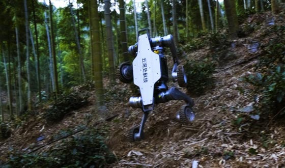 leyu.com乐鱼山猫